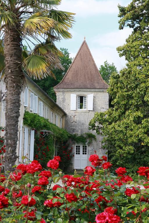 Chateau De Puyrigaud Bed & Breakfast Leoville ภายนอก รูปภาพ