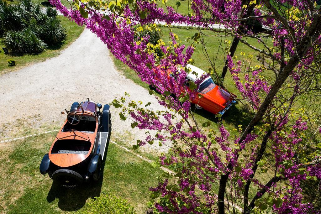 Chateau De Puyrigaud Bed & Breakfast Leoville ภายนอก รูปภาพ