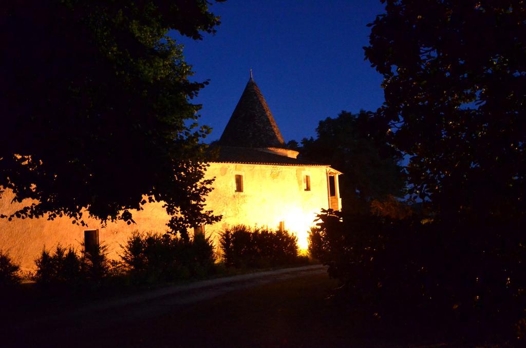 Chateau De Puyrigaud Bed & Breakfast Leoville ภายนอก รูปภาพ